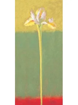 Rainbow Bloom I - Mounted