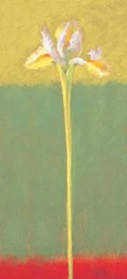 Rainbow Bloom I - Mounted