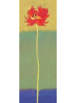 Rainbow Bloom II - Mounted