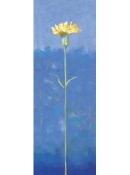 Spring Joy I - Mounted