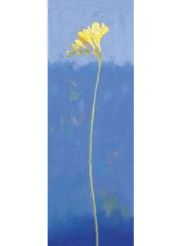 Spring Joy II - Mounted
