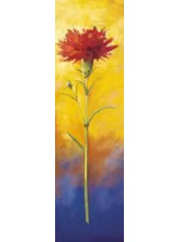 Queen Of Hearts II - Mounted