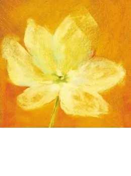 Slice Of Life - Potentilla - With slip