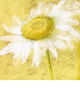 Slice Of Life - Daisy - With slip