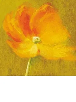 Slice Of Life - Poppy - With slip