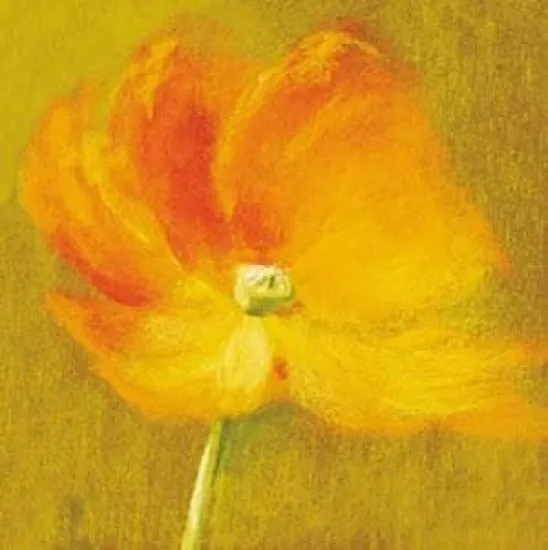 Slice Of Life - Poppy - With slip