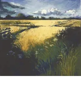 In Golden fields - Mounted