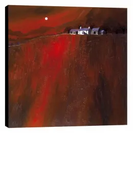Wild At Heart - Box Canvas