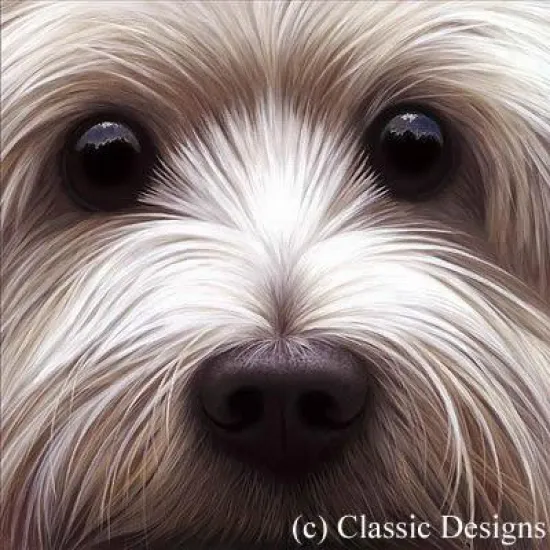 Larger Than Life - Westie Larger Than Life - Westie