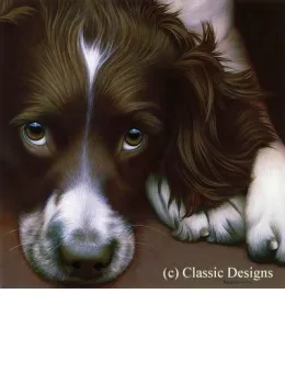 Larger Than Life - Springer Spaniel II - Canvas - Box Canvas