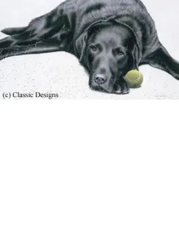 Rain Stops Play - Canvas - Box Canvas