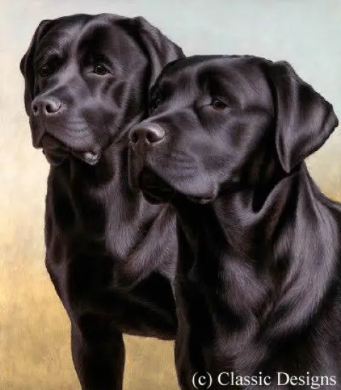 Two Of A Kind Two Of A Kind