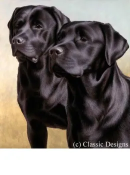Two Of A Kind - Dark Wood Framed