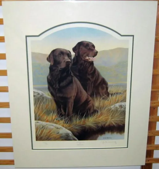 Hot Chocolate (Chocolate Labradors)