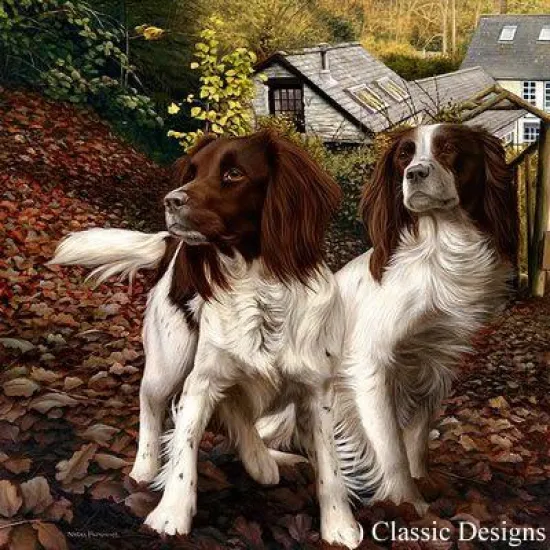Autumn Watch Autumn Watch