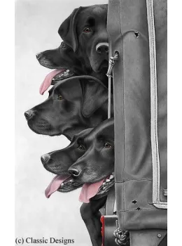 Rear Gunners - Box Canvas
