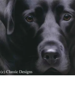 Larger Than Life - Black Labrador II - Canvas - Box Canvas