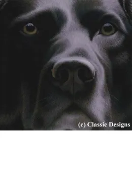 Larger Than Life - Black Labrador I - Canvas - Box Canvas