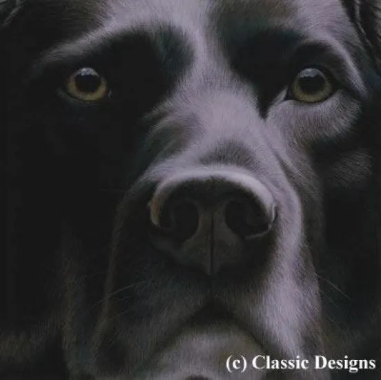 Larger Than Life - Black Labrador Larger Than Life - Black Labrador