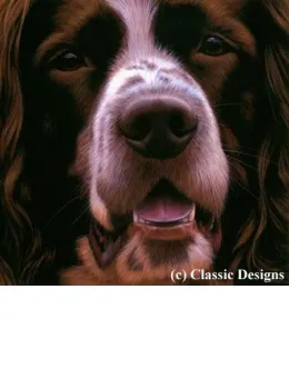 Larger Than Life - Springer Spaniel I - Canvas - Box Canvas