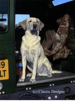 Yellow Cab & Remarque Of Your Dog - Mounted