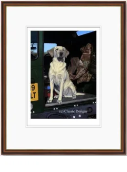 Yellow Cab - Dark Wood Framed
