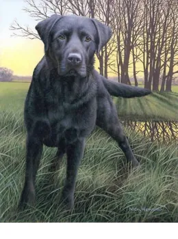 Black Watch - Dark Wood Framed