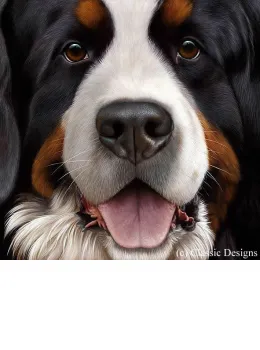 Larger Than Life - Bernese - Canvas - Box Canvas