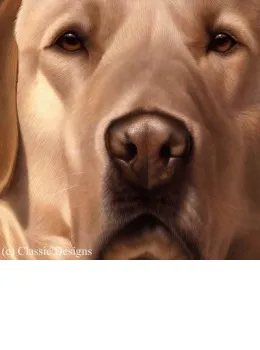 Larger Than Life - Yellow Labrador - Canvas - Box Canvas