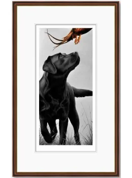 Cock-Up - Paper  - Dark Wood Framed