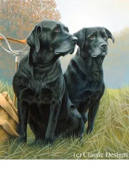 Senior Service - Dark Wood Framed