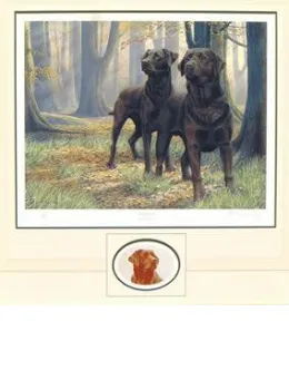 Beech Boys & Head Study - Special - Mounted
