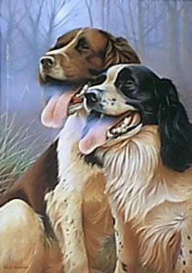 Gun Smoke (Springer Spaniels)