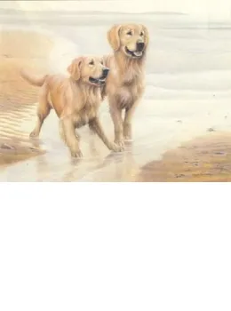 Golden Sands - Mounted