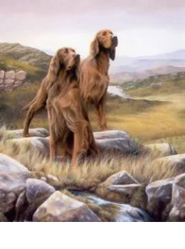 Gaelic Pride - Print
