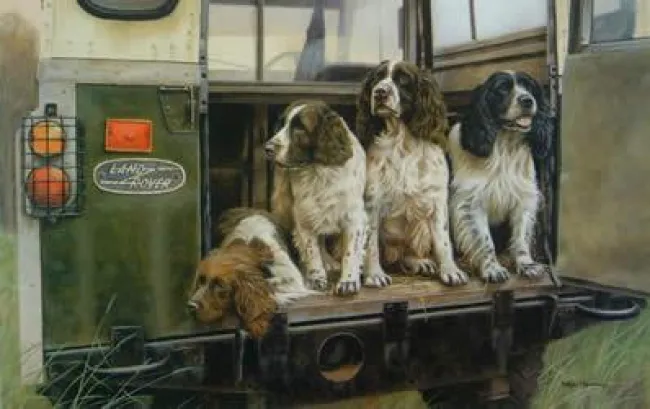 Four By Four (Springer Spaniels)