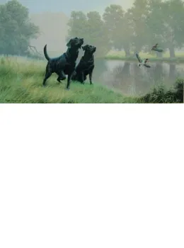 Watersports - Black Labradors - Mounted