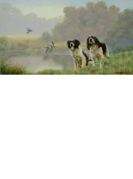 Watersports - Springer Spaniels - Mounted