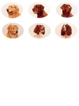 Small Head Studies (on 1 sheet or 6 individual) - Print