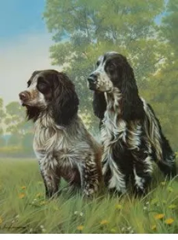 Cocker Two - Print