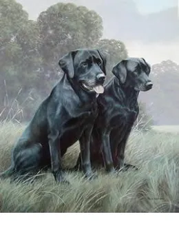Black Labradors - Mounted