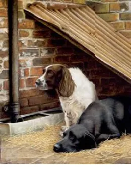In The Dog House - Mounted