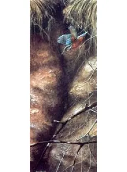 Kingfisher - Mounted