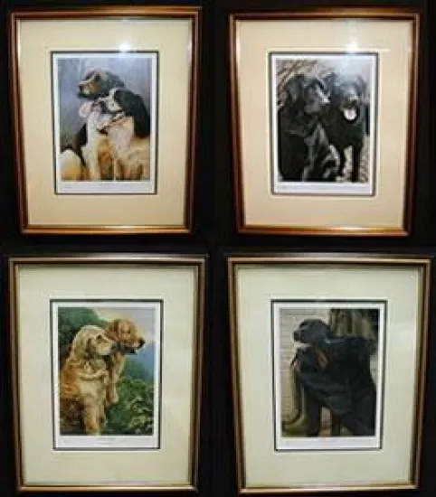 All 4 Collector Editions Gun Dogs