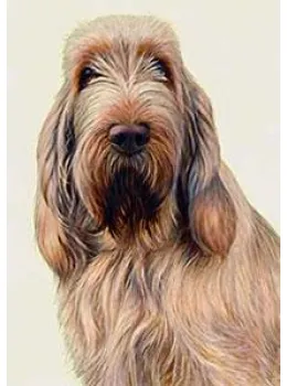 Just Dogs - White & Orange Italian Spinone - Dark Wood Framed