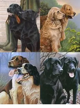 All 4 Collector Editions Gun Dogs - Print