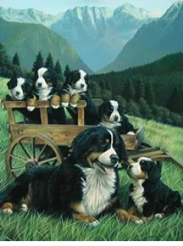 Nursery Slopes - Print