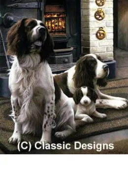 Spring Range & Remarque Of Your Dog - Mounted