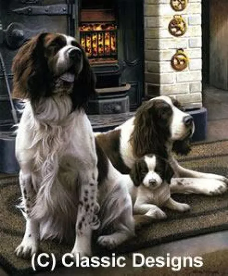 Spring Range (Springer Spaniels)