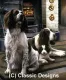 Spring Range & Remarque Of Your Dog - Mounted